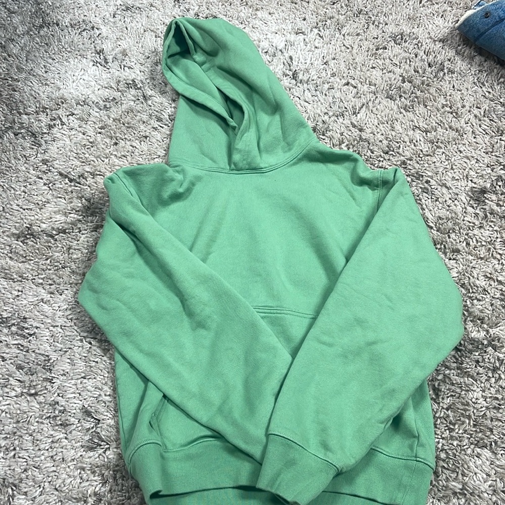 Aritzia TNA hoodie